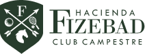 Logo FIZEBAD